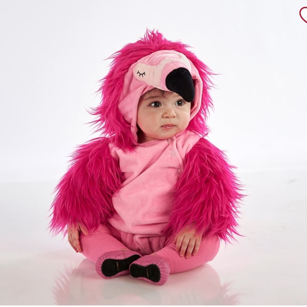 Pottery barn flamingo costume
